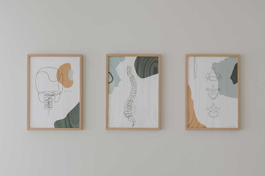 Ashburton Chiropractic